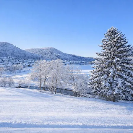 #13 Jsliving Premium - Balkon Mit Aussicht Highspeed Wlan Smart Tv Kostenlose Parkplaetze Horb am Neckar